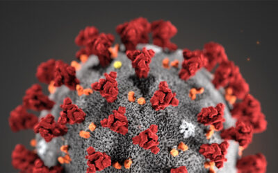 Important Information on the Novel Coronavirus (COVID-19)
